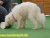 comp_ersatzrad
