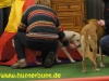 comp_13pauladurchszelt