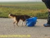 comp_belohnung3