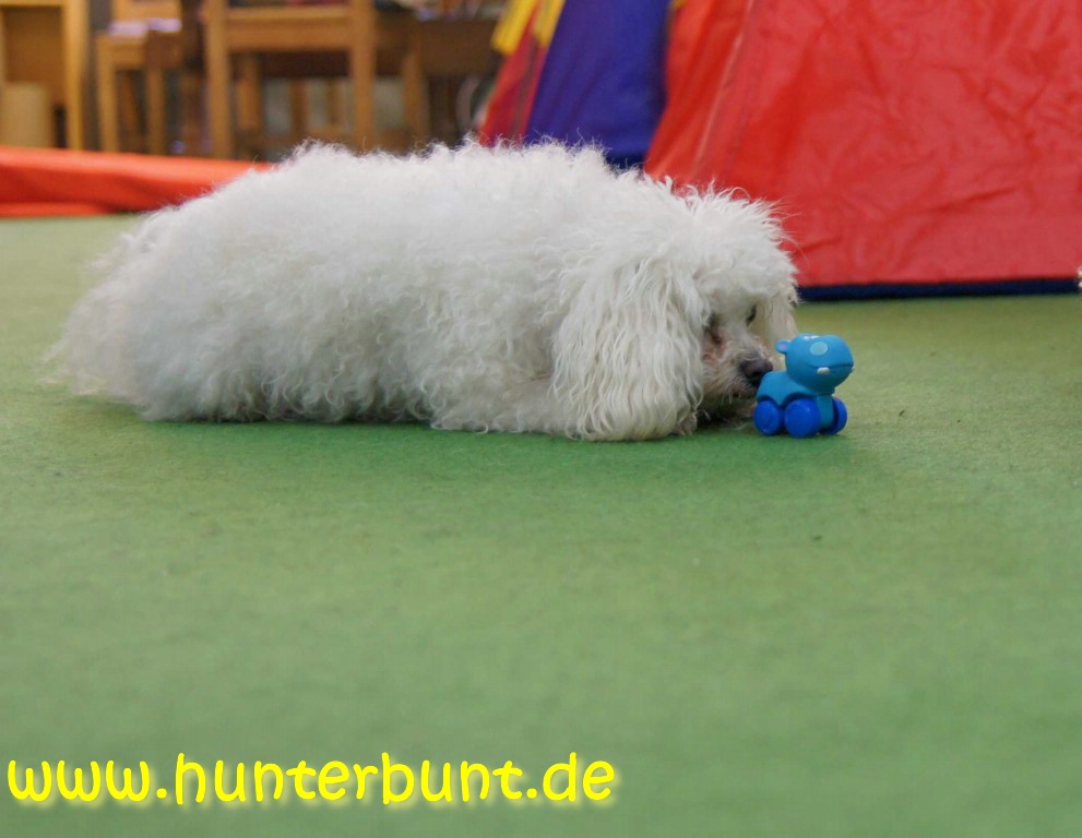 comp_autoschubsen