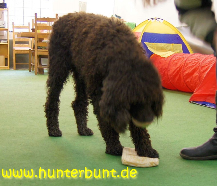 comp_fruehstueck2