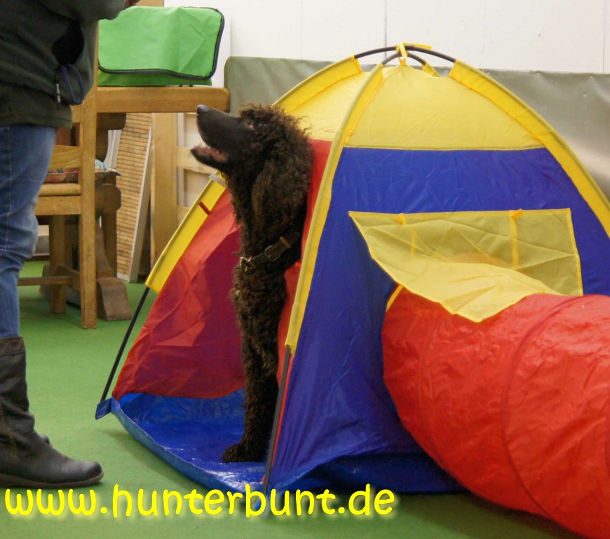 comp_welcheszelt