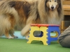 scamp-und-hocker