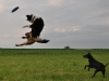sheila-ciaran-und-die-frisbee