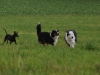 diese-drei-waren-einfach-zu-schnell-fur-mich
