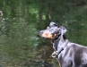 ciaran-in-der-sonne-am-wasser