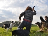 ingrid-motiviert-die-hunde