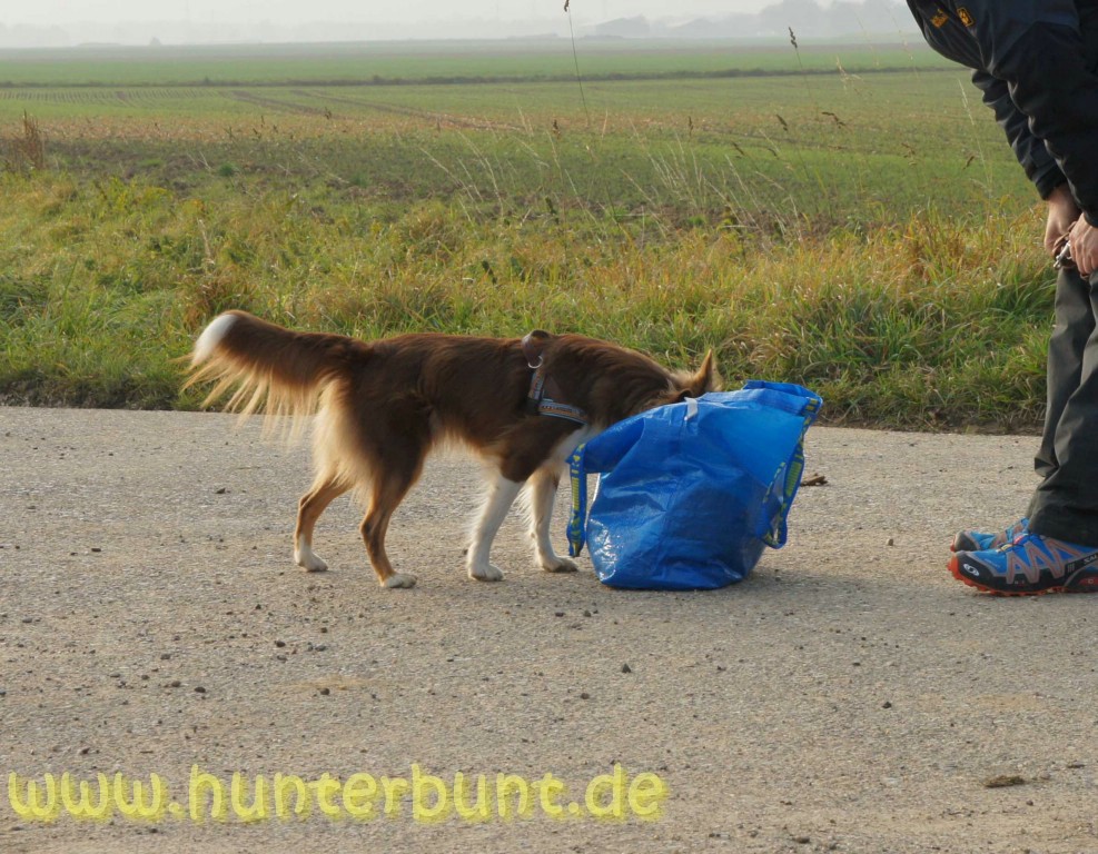 comp_belohnung3