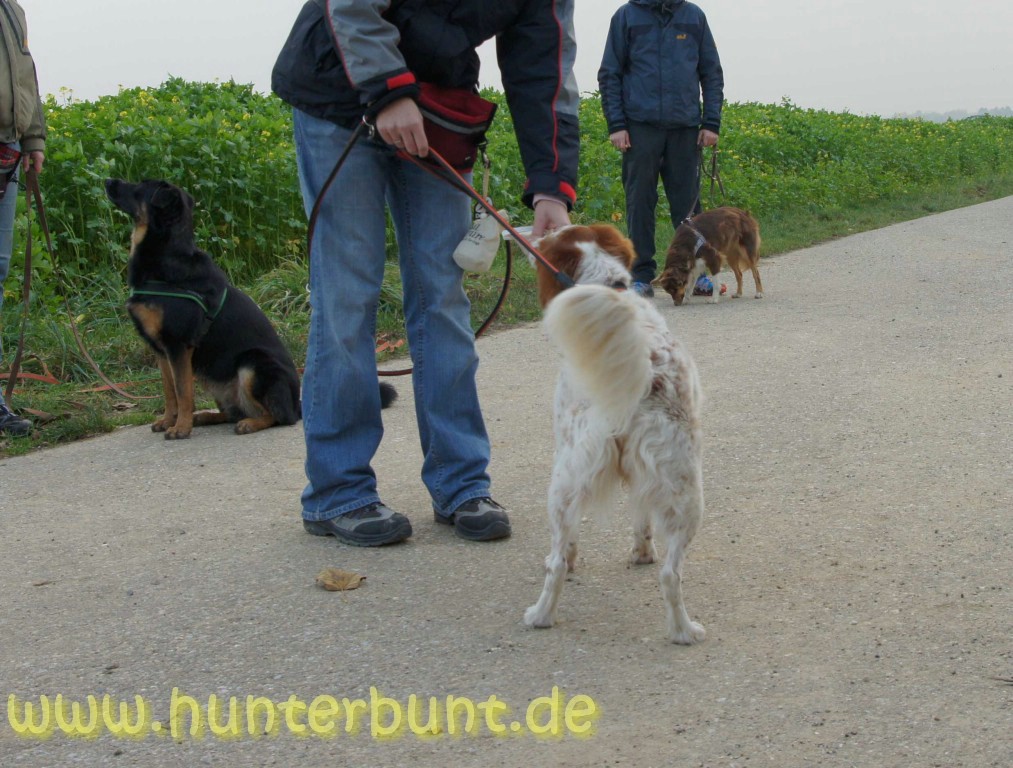 comp_belohnung6