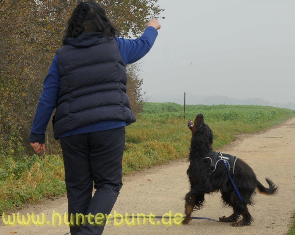 comp_distanzarbeit