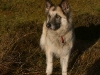 kessy2005