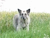 kessy2008