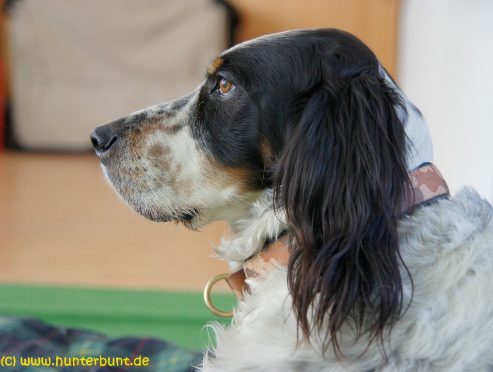 berta_schaut_zu