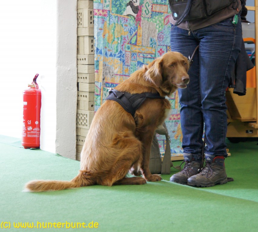 milou_wartet
