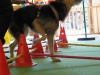 parcours_koa