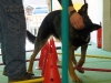 parcours_sam2