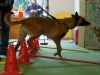 parcours_zetty2