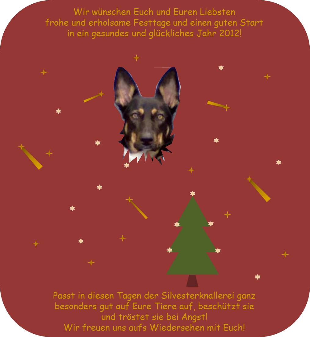 weihnachtsgruss2011