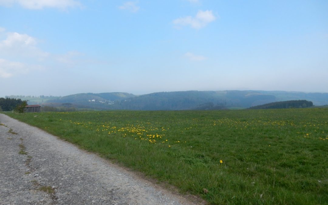 Die hunterbunte Urlaubskiste